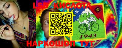 гидра Гусев