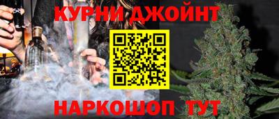 гидра Гусев