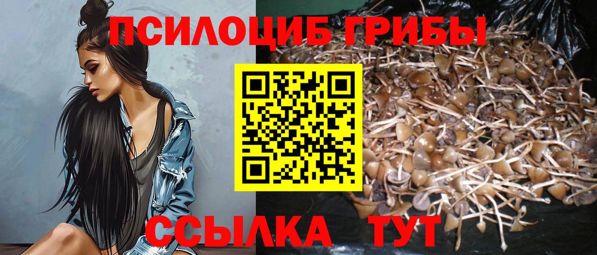 Галлюциногенные грибы Psilocybe  Вход с VPN  Малоярославец  Псилоцибиновые грибы мицелий 